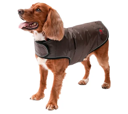 Firefoot Quilted Dog Coat Brown
