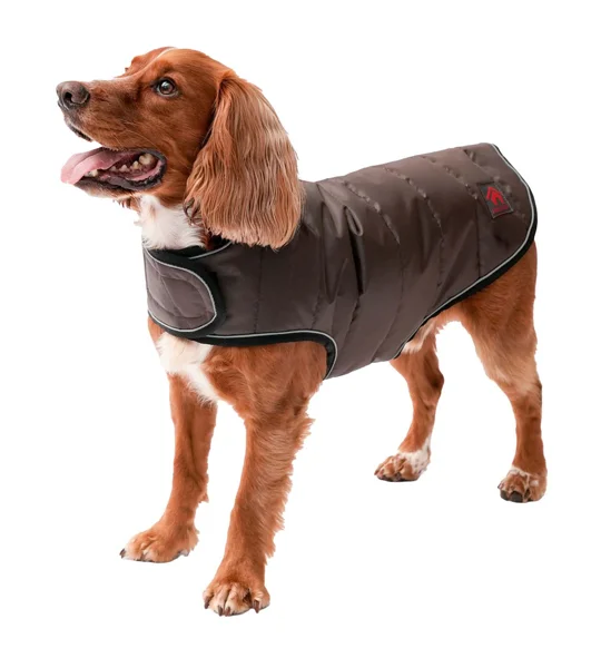 Firefoot Quilted Dog Coat Brown