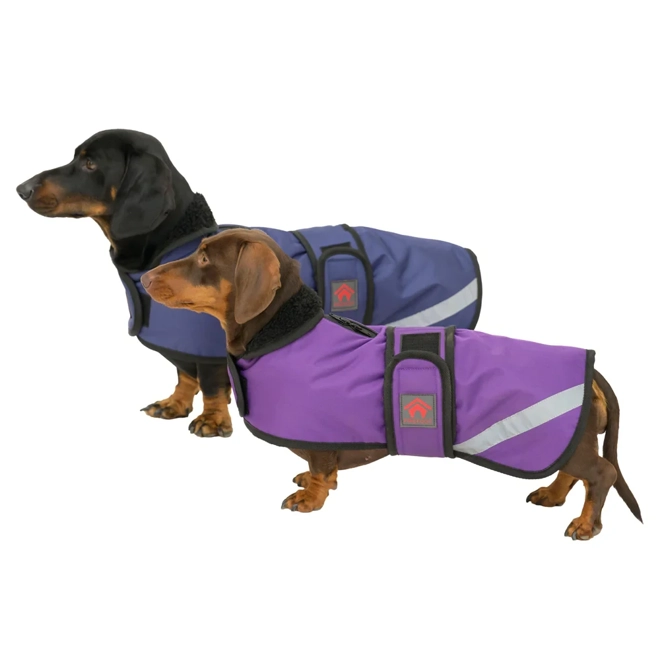 Additional Image for Firefoot Outdoor Dachshund Coat with Fleecy Lining Navy
