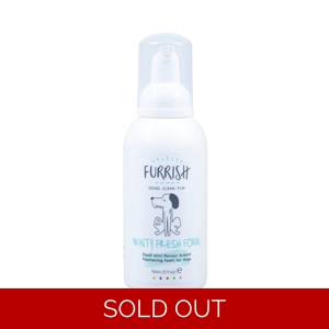 Furrish Minty Fresh Foam