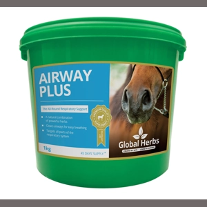 Global Herbs Airwayplus 1 Kg