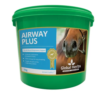 Global Herbs Airwayplus 1 Kg