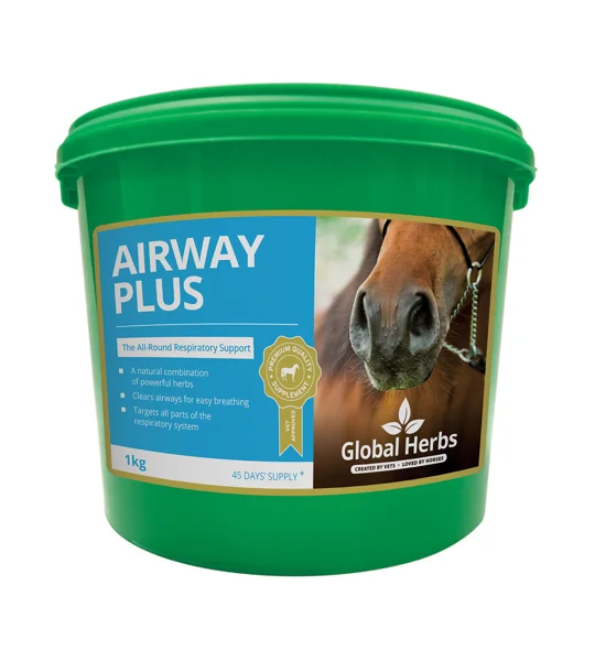 Global Herbs Airwayplus 1 Kg