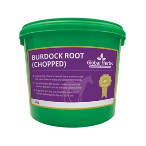 Global Herbs Burdock Root (Chopped) - 1 Kg