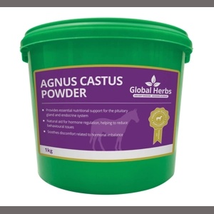 Global Herbs Agnus Castus Powder - 1 Kg