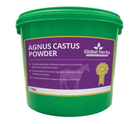 Global Herbs Agnus Castus Powder - 1 Kg