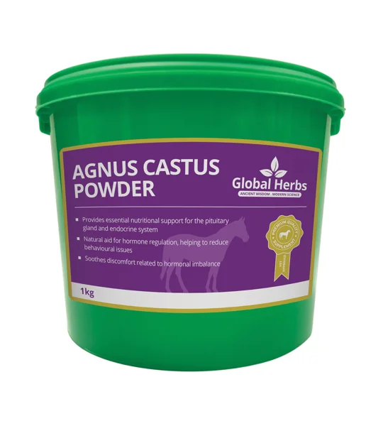 Global Herbs Agnus Castus Powder - 1 Kg