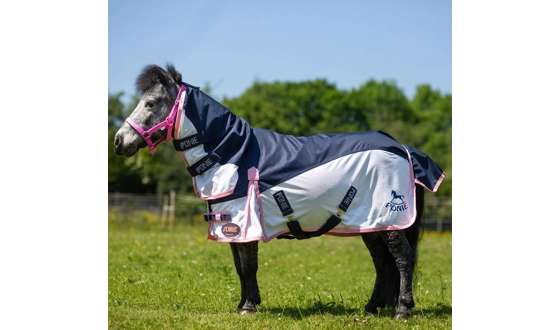 Category Image for GALLOP