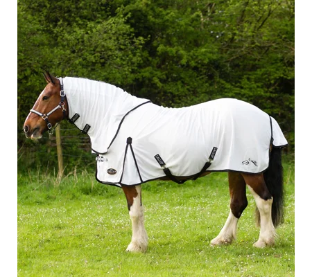 Gallop Ponie Dual 5-Point Fly Rug & Neck Set White