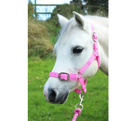 Gallop Headcollar & Lead Rope Set Pink
