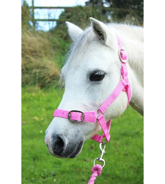 Gallop Headcollar & Lead Rope Set Pink