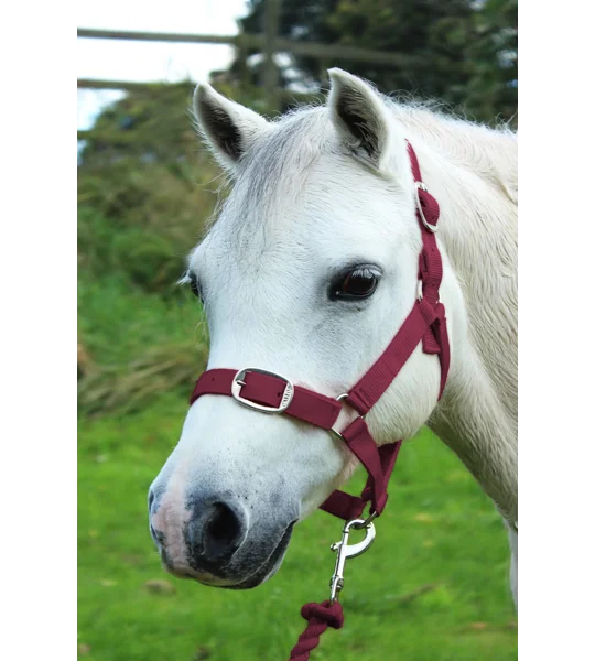 Gallop Headcollar & Lead Rope Set Burgundy