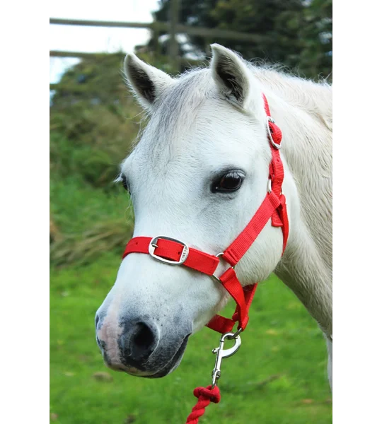 Gallop Headcollar & Lead Rope Set Red