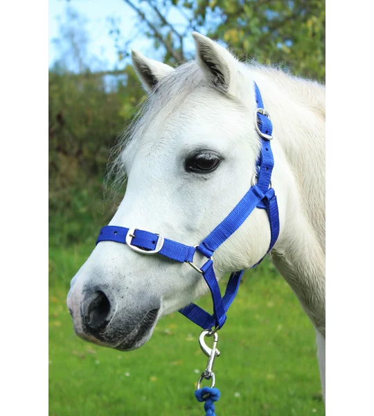 Gallop Headcollar & Lead Rope Set Royal