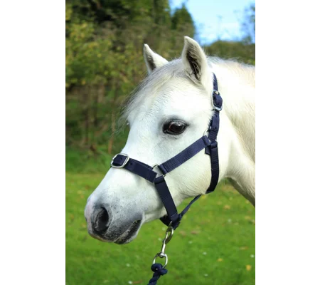 Gallop Headcollar & Lead Rope Set Navy