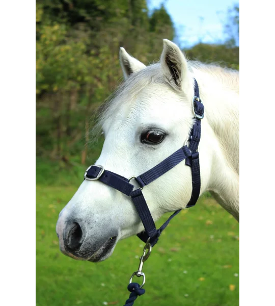 Gallop Headcollar & Lead Rope Set Navy