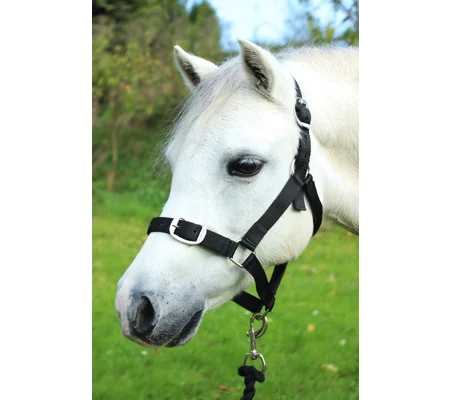 Gallop Headcollar & Lead Rope Set Black