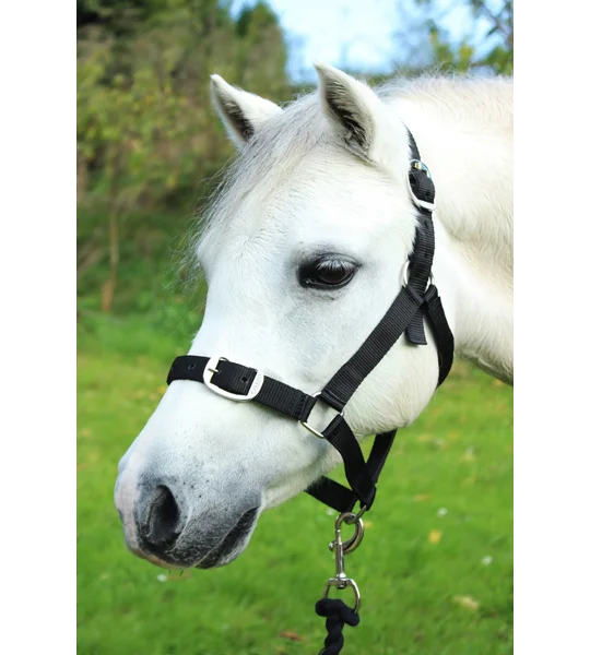 Gallop Headcollar & Lead Rope Set Black