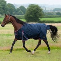 Gallop Trojan Duraproof 50g 5-Point Standard Neck Turnout Navy