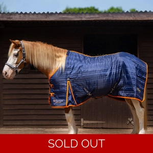 Gallop Trojan 100g Stable Rug Navy