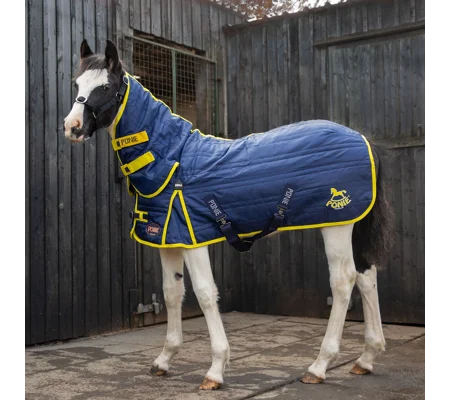 Gallop Ponie 200g Stable Rug Combo Navy