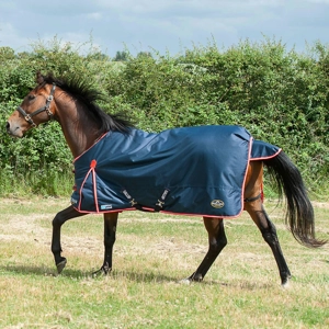 Gallop Trojan Duraproof 200g Turnout Navy