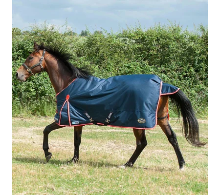 Gallop Trojan Duraproof 200g Turnout Navy