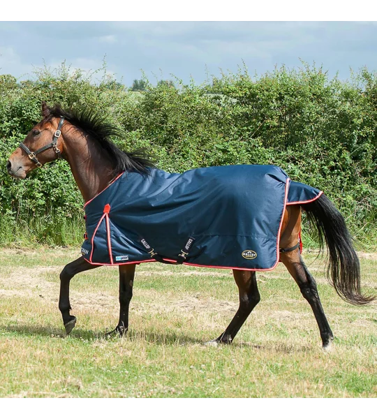 Gallop Trojan Duraproof 200g Turnout Navy