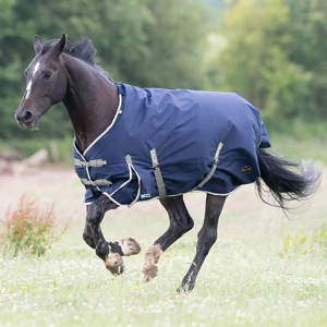 Gallop Trojan Duraproof 300g Turnout Navy