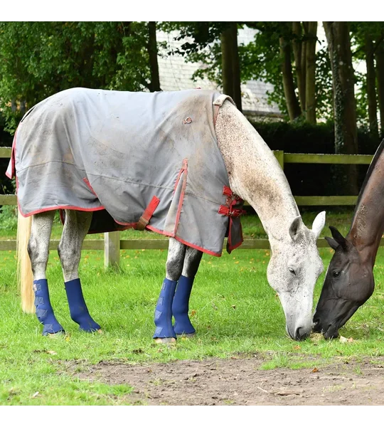 Equilibrium Equi-Chaps Hardy Chaps