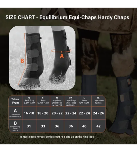 Equilibrium Equi-Chaps Hardy Chaps