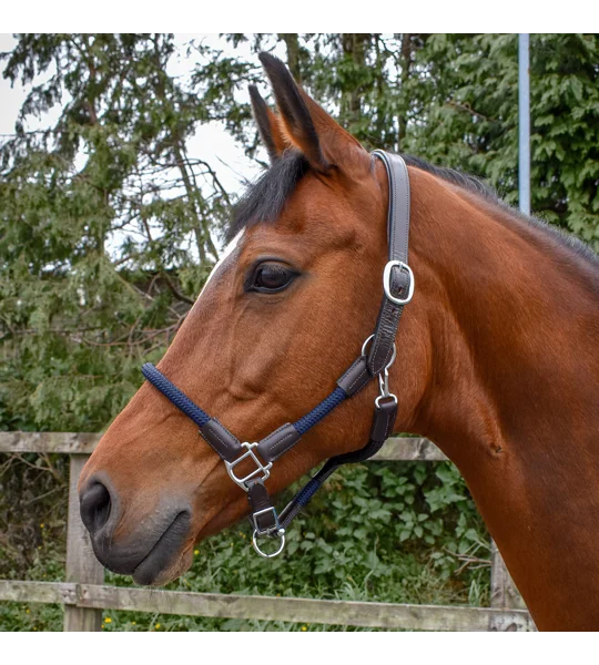 Whitaker HC065 Raywell Soft Rope Headcollar Brown/Navy