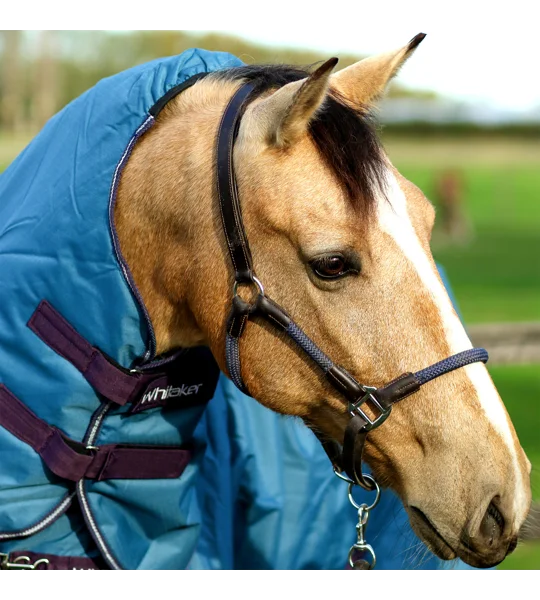 Whitaker HC065 Raywell Soft Rope Headcollar Brown/Navy