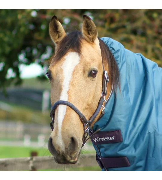 Whitaker HC065 Raywell Soft Rope Headcollar Brown/Navy