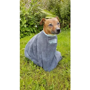 HENRY WAG