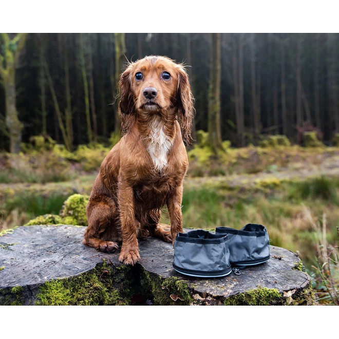 Additional Image for Henry Wag Snaffle Pack Bowl Set