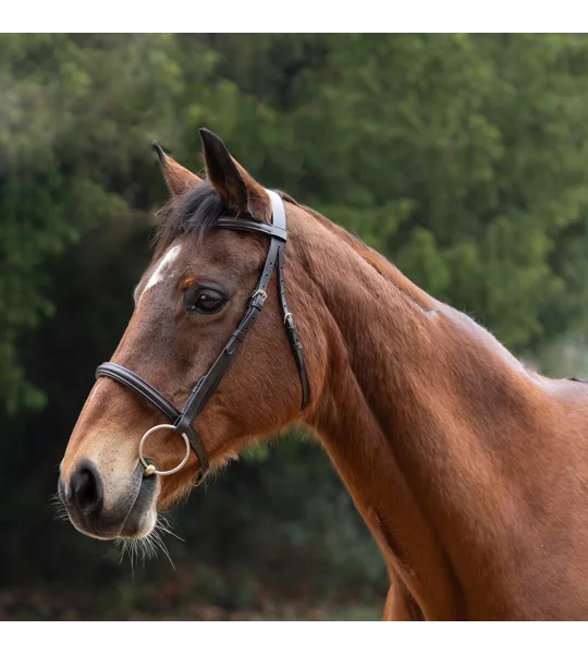 Hy Equestrian Padded Cavesson Bridle/Rubber Grip Reins Brown