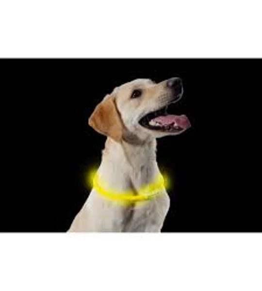 Ancol Night Safety Rechargeable Flashing Band Yellow