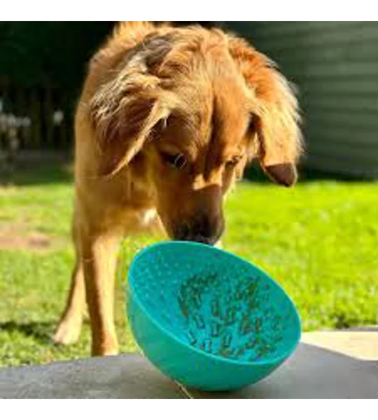 Ancol Orva Lick Wobble Bowl Green - 21 Cm
