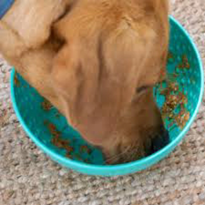 Additional Image for Ancol Orva Lick Wobble Bowl Green - 21 Cm