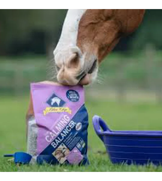 Blue Chip Super Concentrated Calming Balancer 3kg