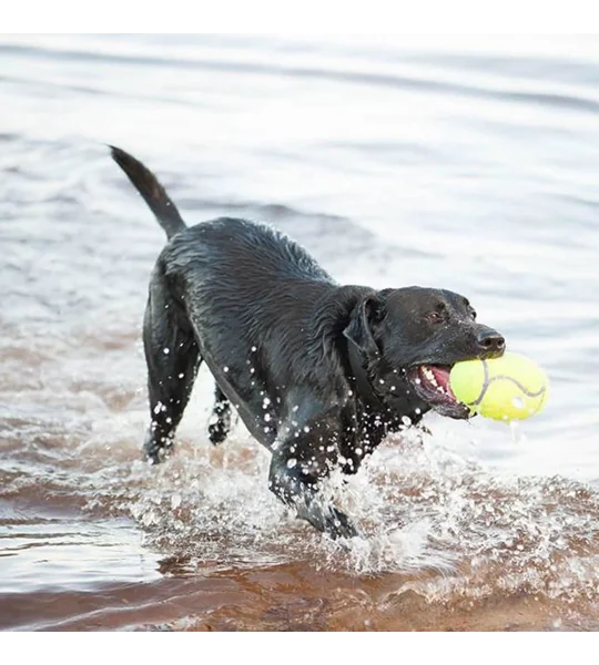 Kong Airdog Squeaker Football