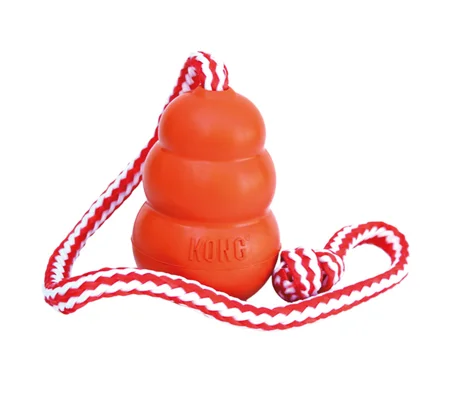 Kong Aqua