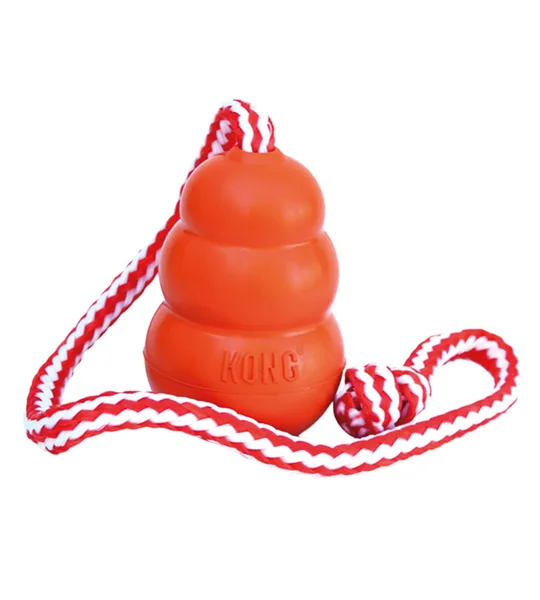 Kong Aqua