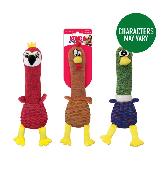 KONG Shakers Cuckoos Assorted Characters - Medium