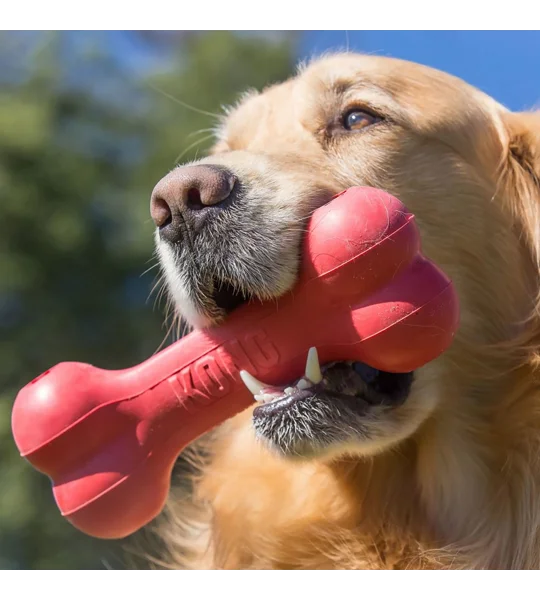 Kong Goodie Bone