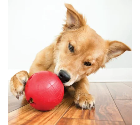 KONG Biscuit Ball