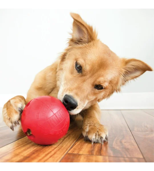 KONG Biscuit Ball