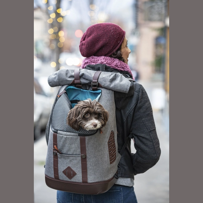 product Image for Kurgo K9 Rucksack Heather Grey