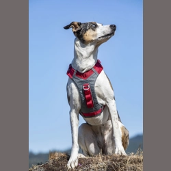 Kurgo Journey Air Harness Red